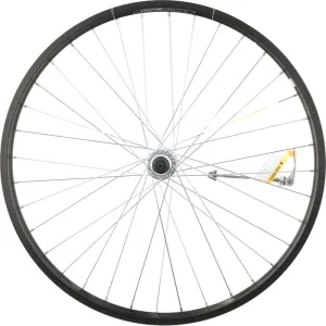 Electra Townie Go! 8i 26" Front Wheel, Clincher, Centerlock, QR, Schrader