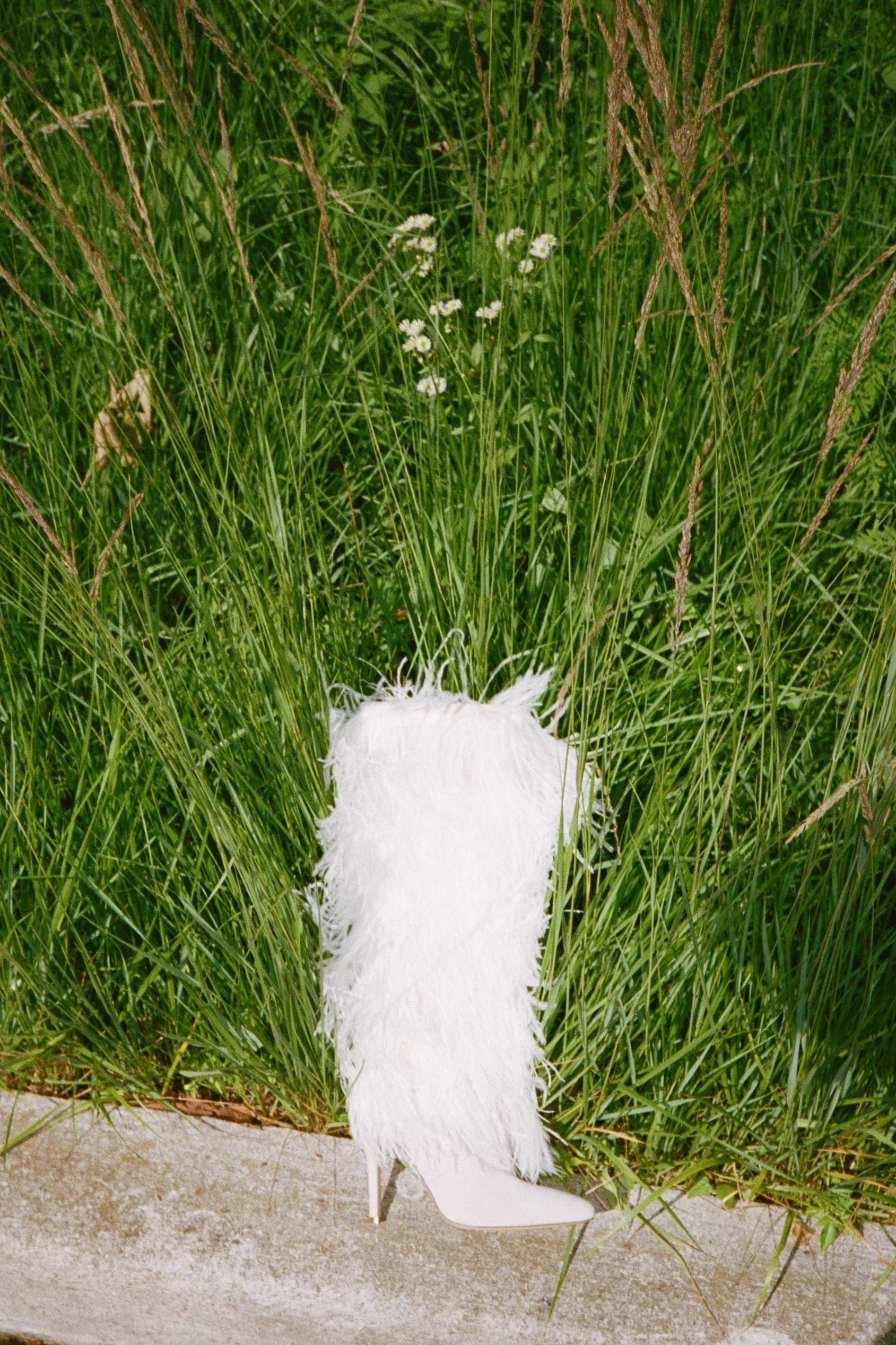 Palms Boot in Ivory